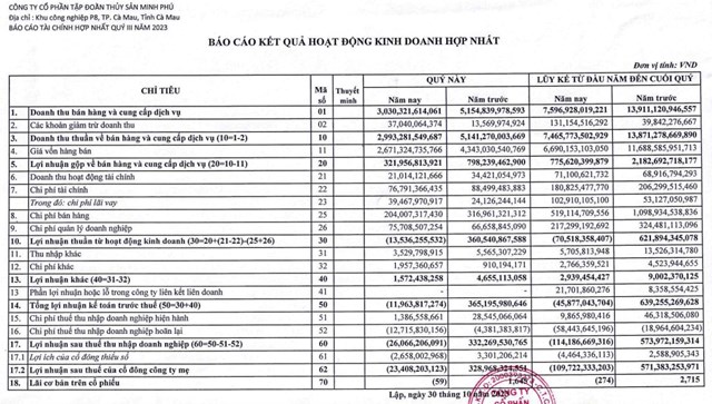 Kết quả kinh doanh ảm đạm, Thủy sản Minh Phú (MPC) dự chi hơn 164 tỷ đồng trả cổ tức - Ảnh 1.