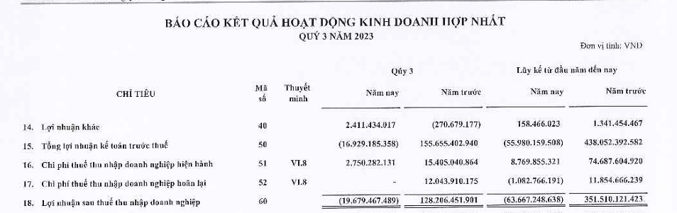 Doanh thu quý III tăng vọt, vì đâu Gilimex (GIL) liên tục chìm trong thua lỗ? - Ảnh 1.