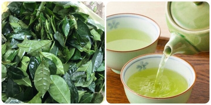 Nước chè xanh cực tốt nhưng khi uống phải nhớ những điều cần tránh này - Ảnh 1. Nước chè xanh cực tốt nhưng khi uống phải nhớ những điều cần tránh này - Ảnh 1.
