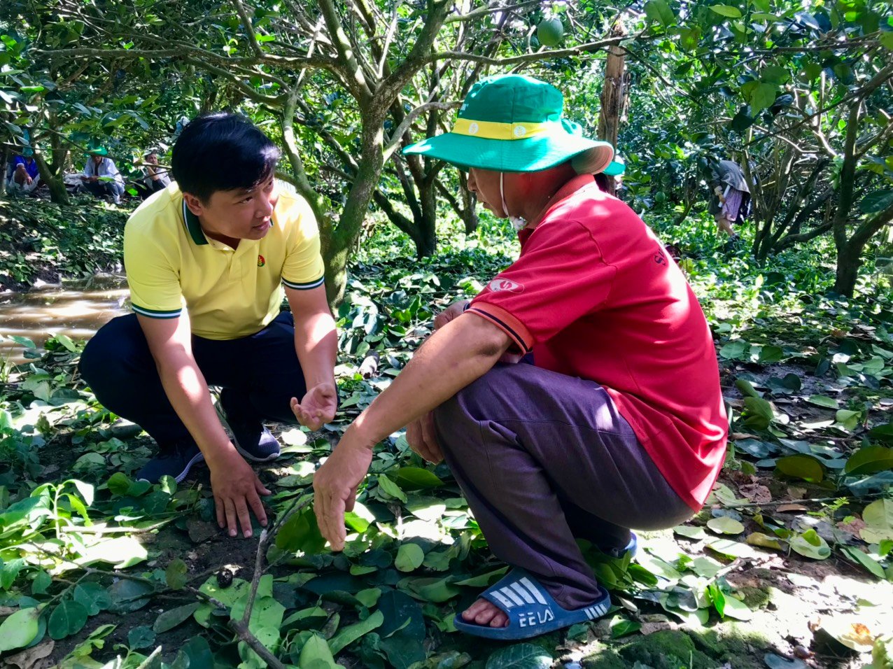 Tiêu dùng thông minh - Phân bón Cà Mau là lựa chọn hàng đầu - Ảnh 4.