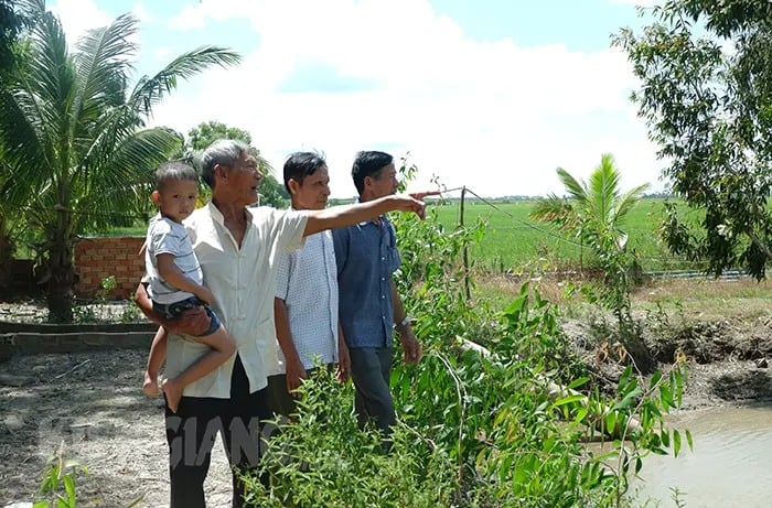 Có 7,5 ha ruộng, ông nông dân Kiên Giang trồng lúa kiểu gì mà dụ được vô số cá đồng ngon, người ta đến xem? - Ảnh 1.