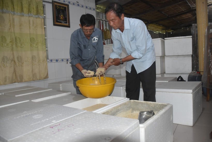 Phân bón vi sinh 'giải độc' đất trồng xoài - Ảnh 1.