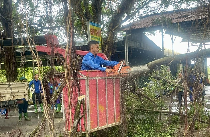 Bất ngờ mưa lớn, sấm sét làm hàng trăm cây khu di tích, điện, đường, trường trạm tốc mái - Ảnh 4.