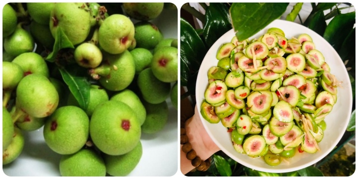 Quả sung có tác dụng gì cho sức khoẻ, nhiều người bất ngờ về câu trả lời - Ảnh 1. Quả sung có tác dụng gì cho sức khoẻ, nhiều người bất ngờ về câu trả lời - Ảnh 1.