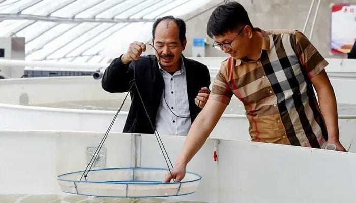 Xây dựng biển giữa lòng sa mạc, giúp nông dân thu tiền tỉ nhờ hải sản - Ảnh 2.