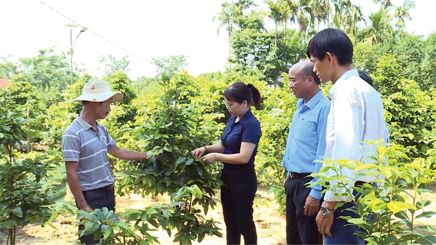 Hội Nông dân Thừa Thiên Huế mời người uy tín tham gia các tổ hòa giải cơ sở - Ảnh 1.