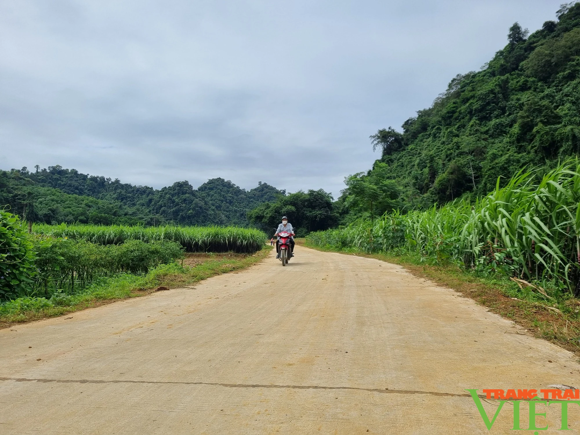 Tân Mỹ chuyển mình từ một chương trình - Ảnh 3.