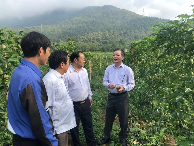 Chủ tịch Hội NDVN Lương Quốc Đoàn: Nghị quyết lịch sử về Hội Nông dân Việt Nam - Ảnh 2.