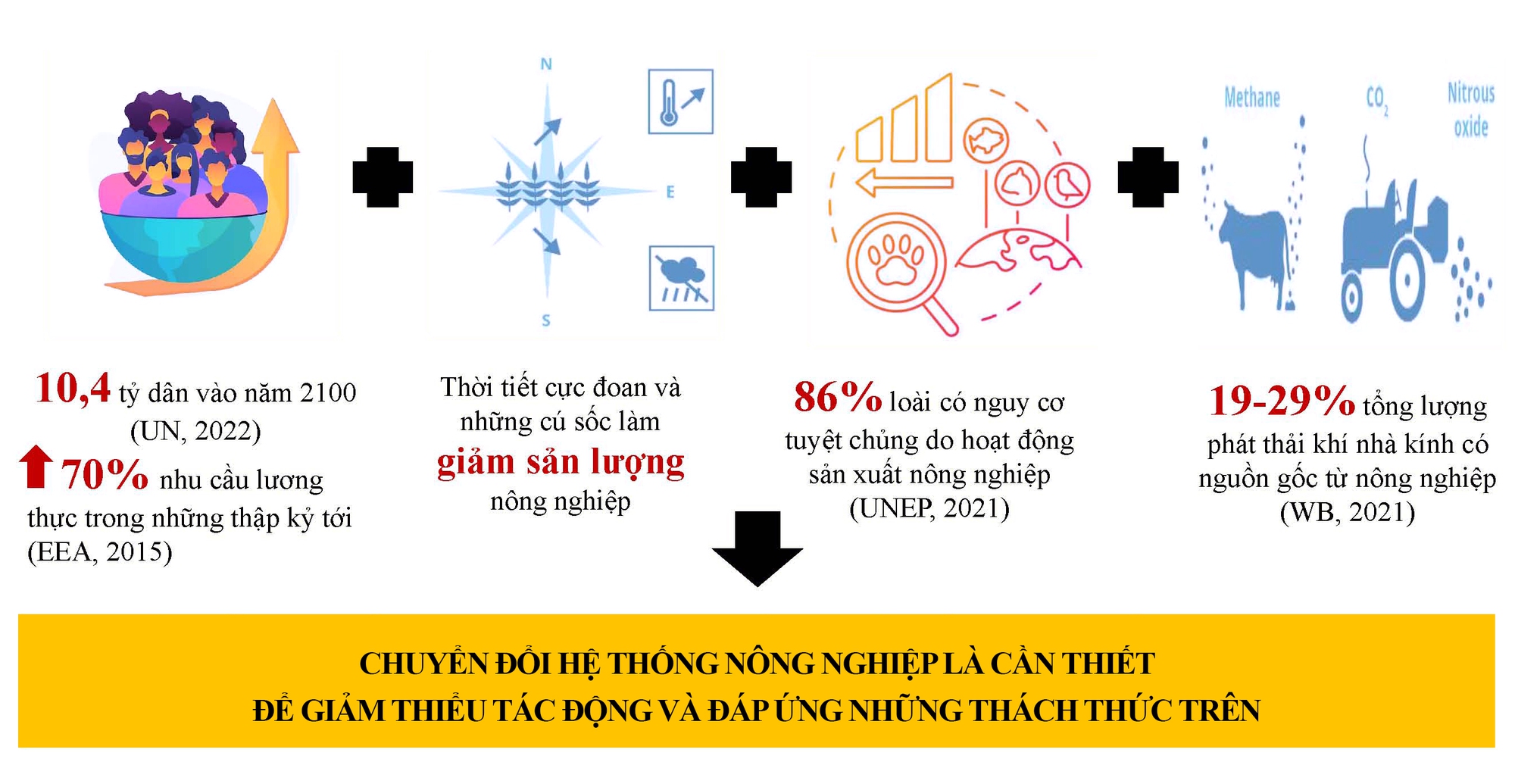 Chuyển đổi tư duy sản xuất sang tư duy kinh tế và phát triển nông nghiệp sinh thái - Ảnh 11.