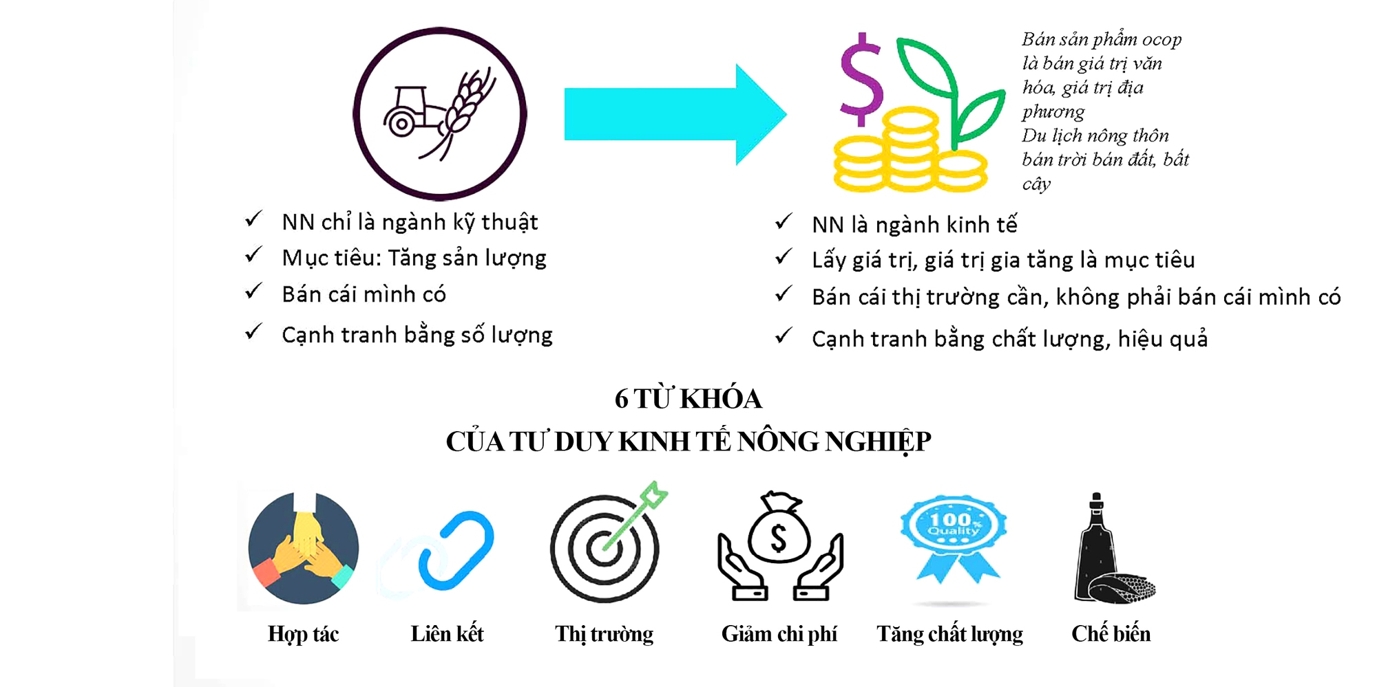 Chuyển đổi tư duy sản xuất sang tư duy kinh tế và phát triển nông nghiệp sinh thái - Ảnh 14.