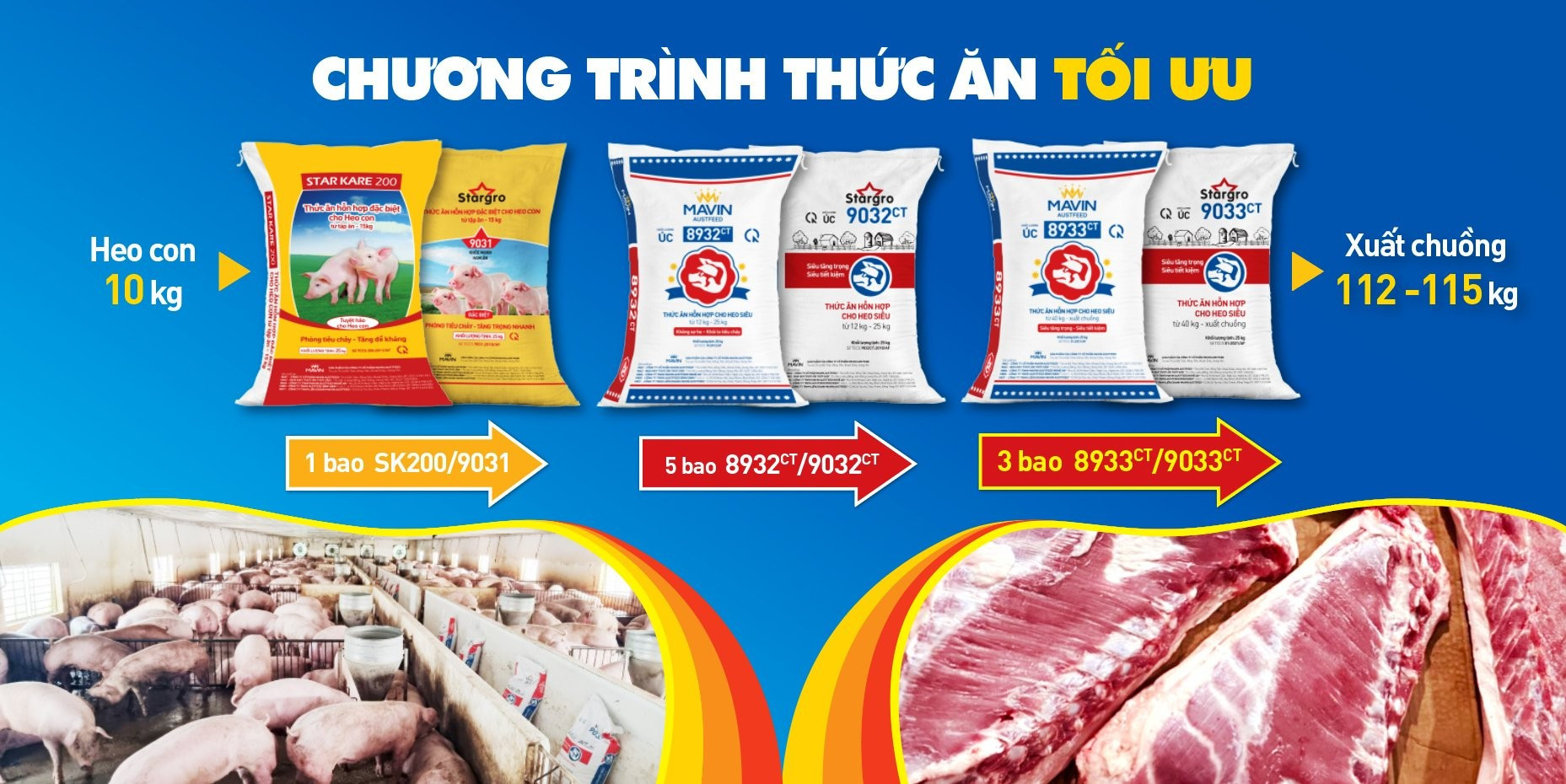 Tập đoàn Mavin đồng hành cùng nhà chăn nuôi nâng cao năng suất, tối ưu chi phí - Ảnh 2.
