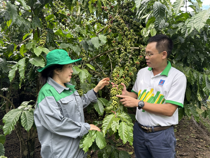 “Cho mùa bội thu” nhờ sử dụng phân bón hợp lý - Ảnh 1.