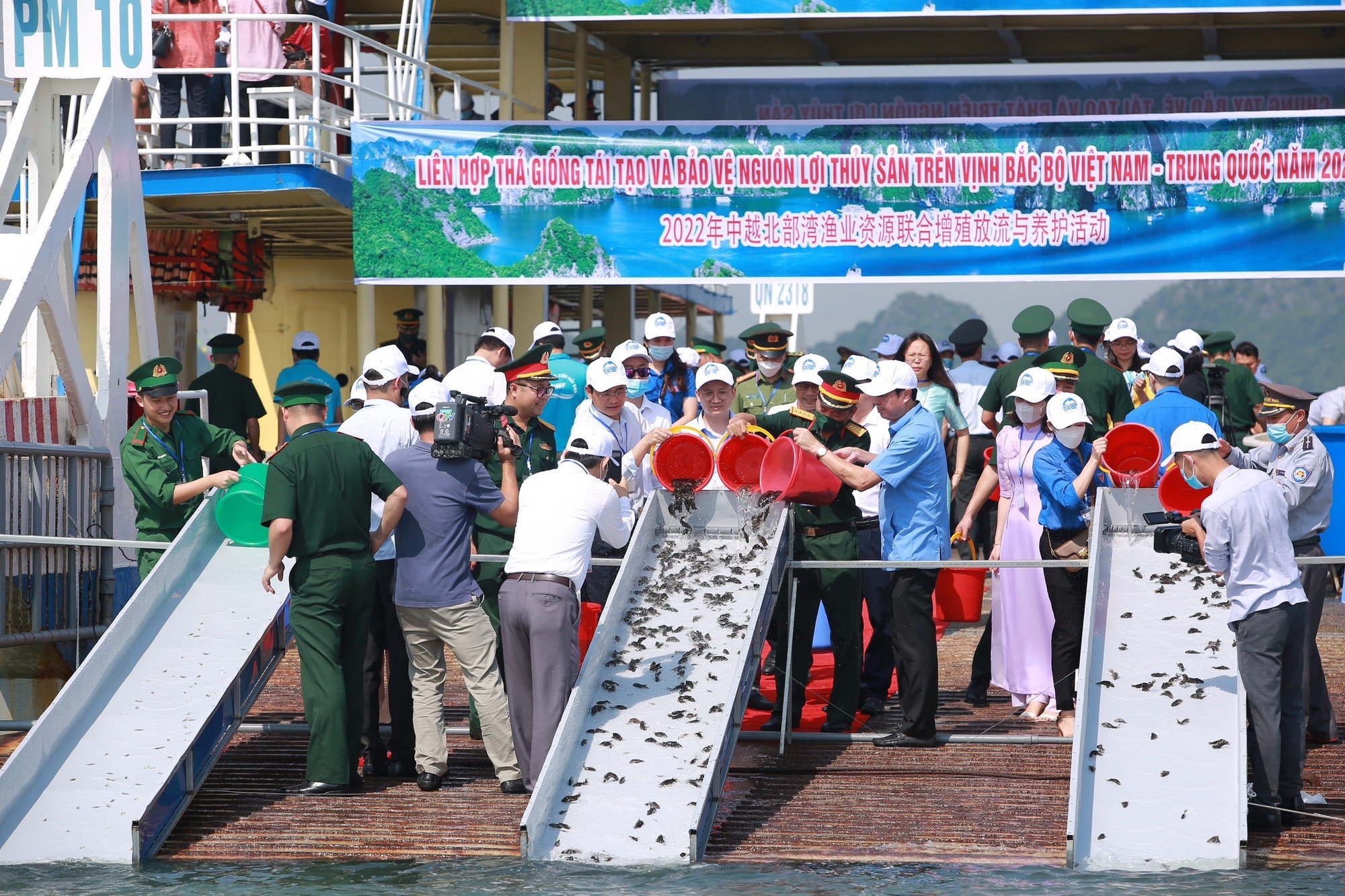 Tái tạo nguồn lợi thủy sản giúp cân bằng hệ sinh thái, phát triển ngành thủy sản bền vững - Ảnh 3.