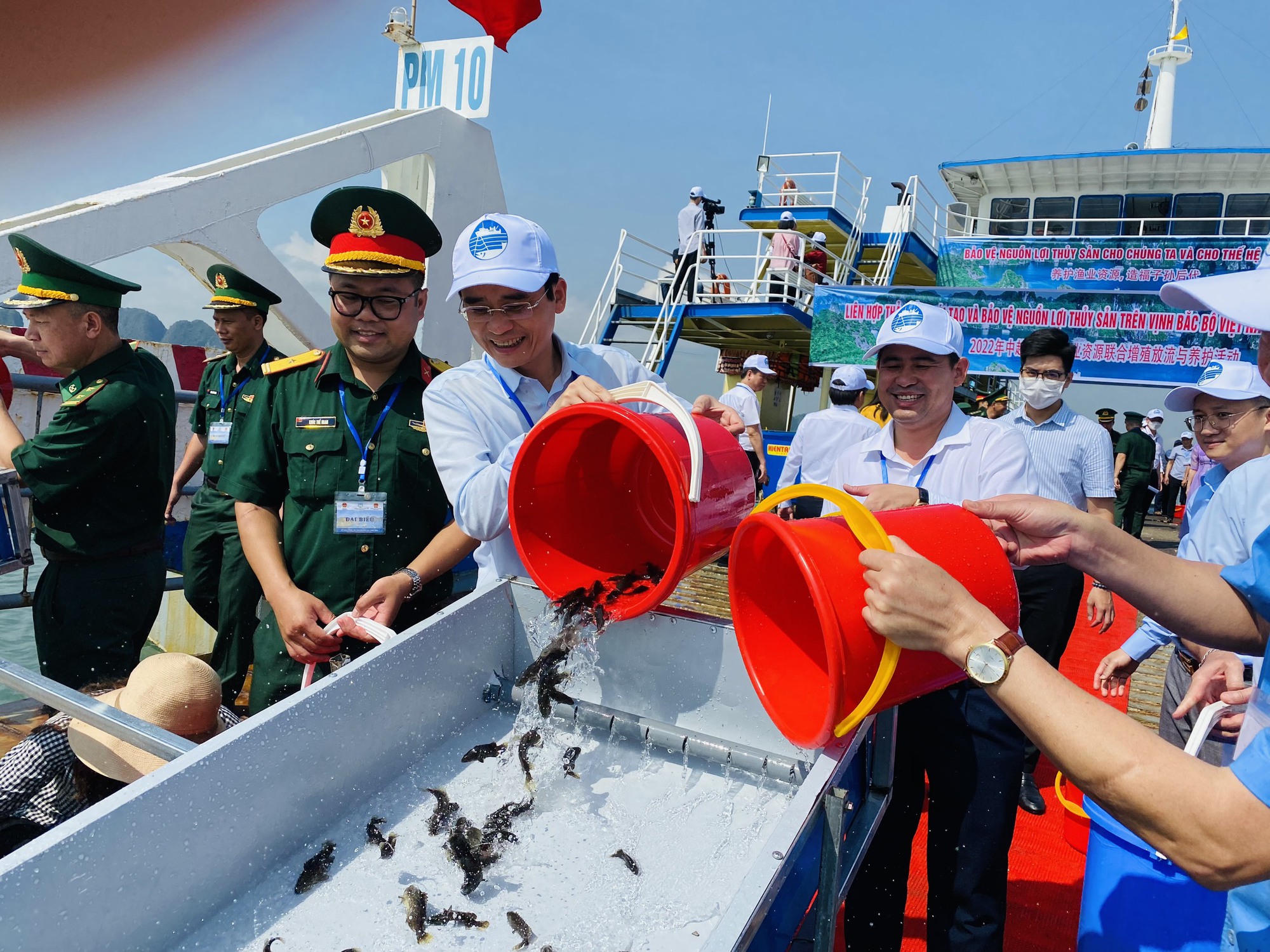 Tái tạo nguồn lợi thủy sản giúp cân bằng hệ sinh thái, phát triển ngành thủy sản bền vững - Ảnh 1.
