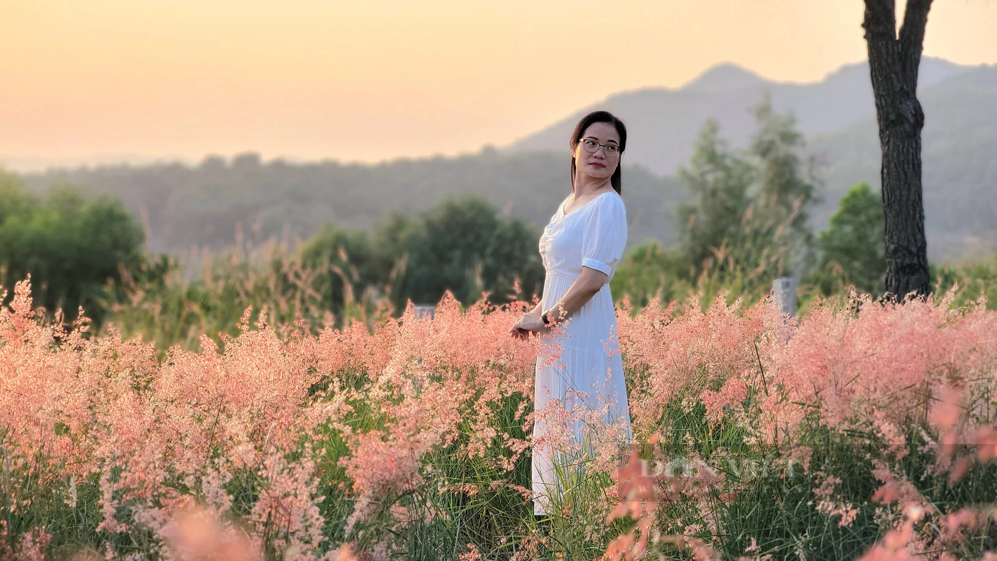 Đồi cỏ hồng rực rỡ ở Hải Dương, có view đẹp như khung cảnh châu Âu, hút du khách về &quot;check in&quot; dịp cuối tuần - Ảnh 11.