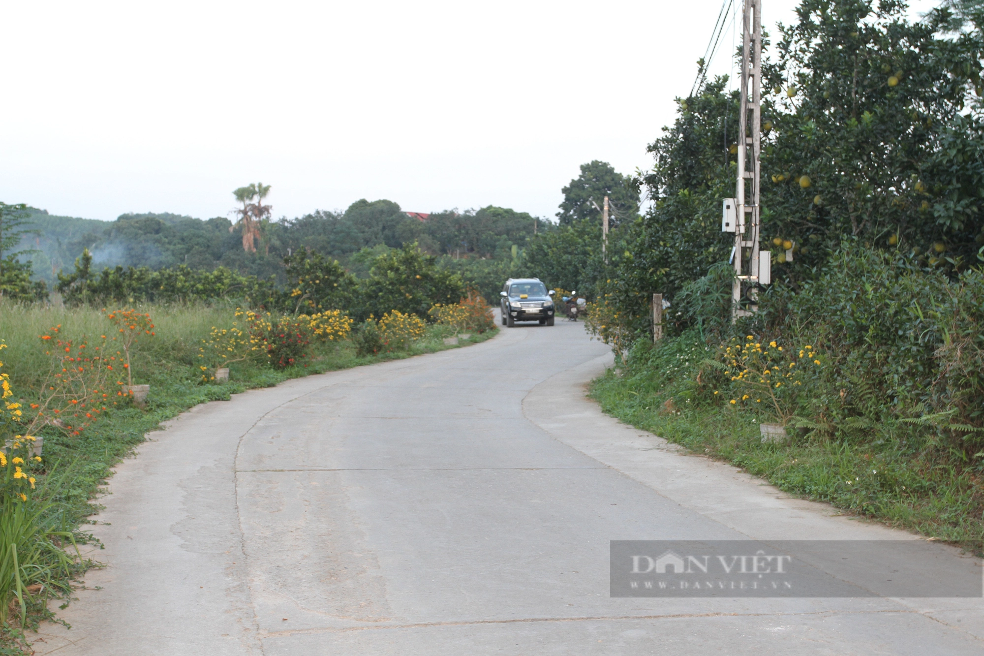 Yên Bái phấn đấu đến hết năm 2023 có 105 xã, 4 huyện đạt chuẩn nông thôn mới - Ảnh 3.