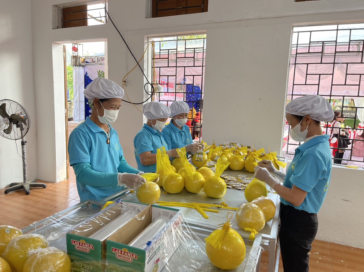 Hòa Bình: Quỹ Hỗ trợ nông dân góp phần phát triển mô hình kinh tế tập thể - Ảnh 3.