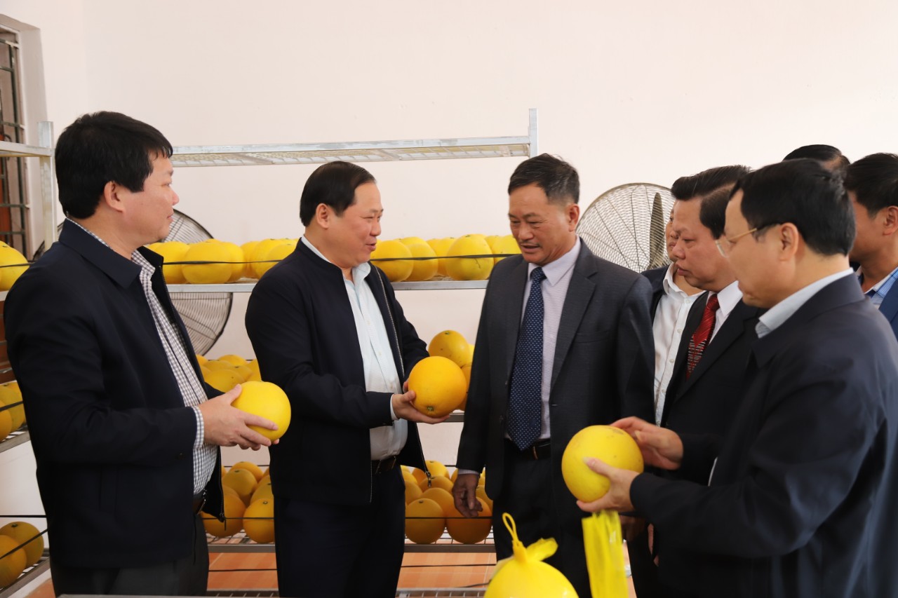 Hòa Bình: Quỹ Hỗ trợ nông dân góp phần phát triển mô hình kinh tế tập thể - Ảnh 2.