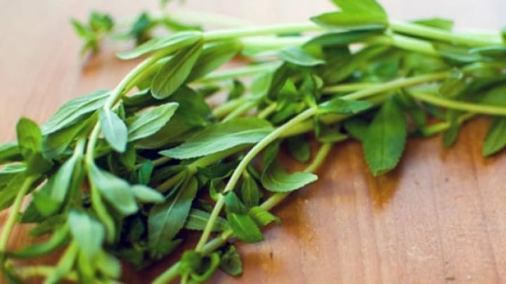 Bất ngờ với các bài thuốc chữa bệnh từ rau ngổ, rau gia vị quen thuộc - Ảnh 1. Bất ngờ với các bài thuốc chữa bệnh từ rau ngổ, rau gia vị quen thuộc - Ảnh 1.