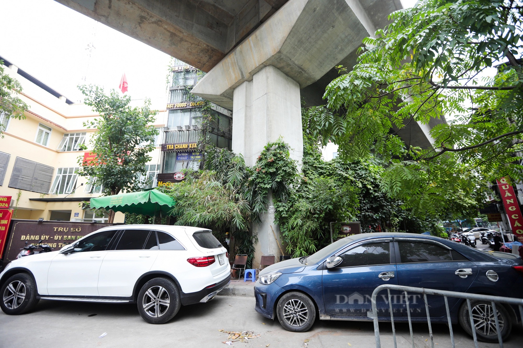 Ảnh ấn tượng tuần: &quot;Thay tên đổi nhà&quot; chợ đầu mối ở Đà Nẵng và giải cứu mèo tại Thái Nguyên - Ảnh 6.