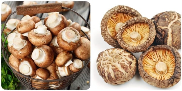 Bệnh gì không nên ăn nấm dù nó bổ và ngon miệng đến mấy? - Ảnh 1. Bệnh gì không nên ăn nấm dù nó bổ và ngon miệng đến mấy? - Ảnh 1.
