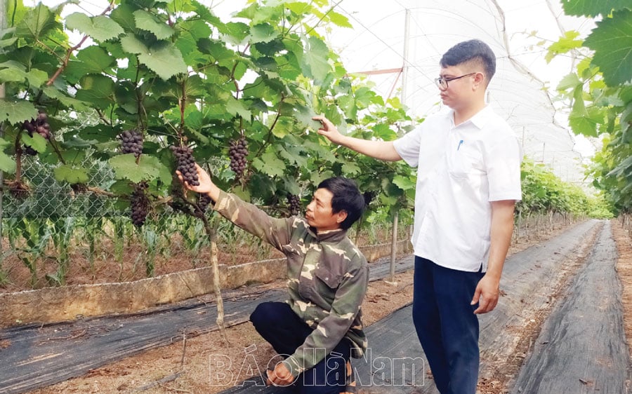 Xây dựng mã số vùng trồng - chìa khóa xây dựng lòng tin cho nông sản - Ảnh 3. Xây dựng mã số vùng trồng - chìa khóa xây dựng lòng tin cho nông sản - Ảnh 3.
