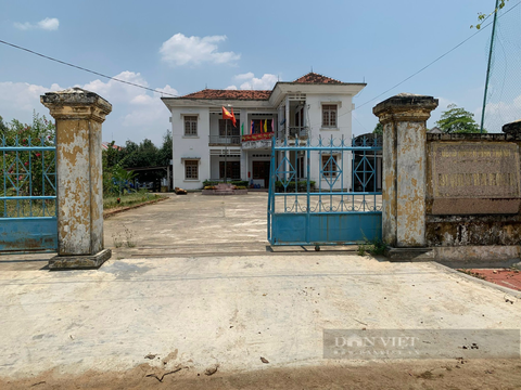 Bình Định: Vừa bị kỷ luật, Giám đốc Ban Quản lý rừng tiếp tục bị Chủ tịch huyện yêu cầu chấn chỉnh - Ảnh 1.