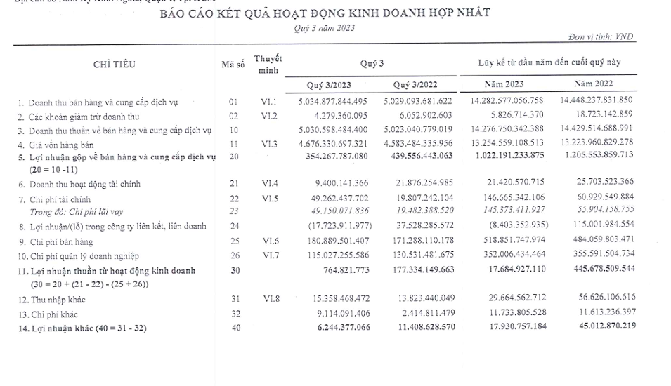 Savico (SVC) giải thể CTCP Dịch vụ Ô tô Cần Thơ - Ảnh 1.