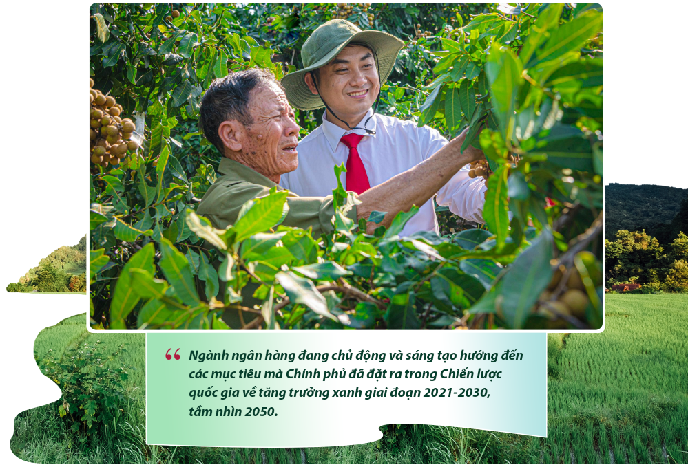 Agribank tăng tốc xanh hóa hoạt động ngân hàng và phát triển bền vững - Ảnh 3.