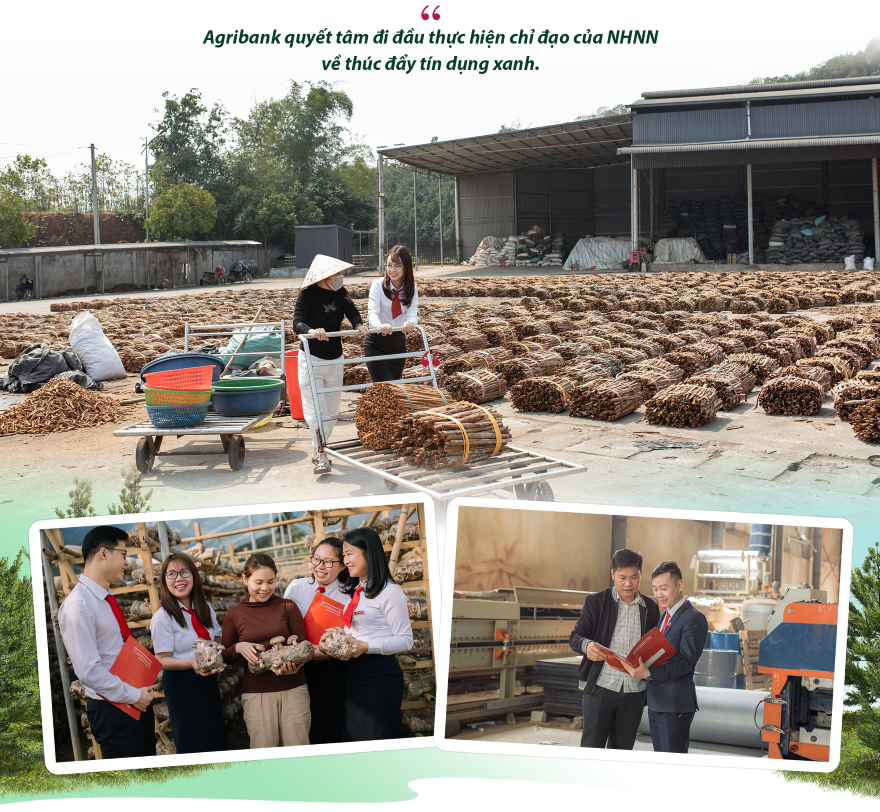 Agribank tăng tốc xanh hóa hoạt động ngân hàng và phát triển bền vững - Ảnh 6.