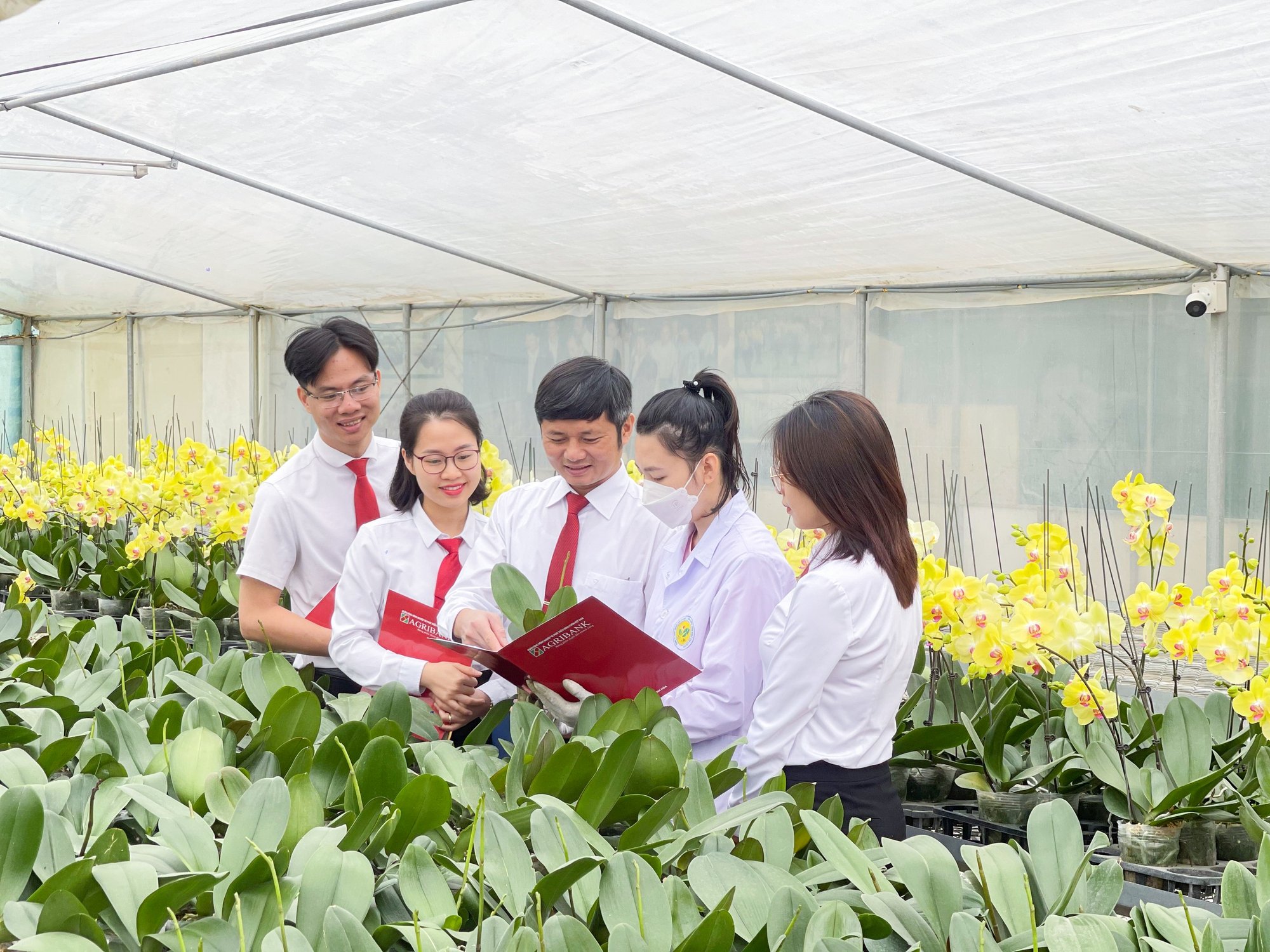 Agribank tăng tốc xanh hóa hoạt động ngân hàng và phát triển bền vững - Ảnh 7.