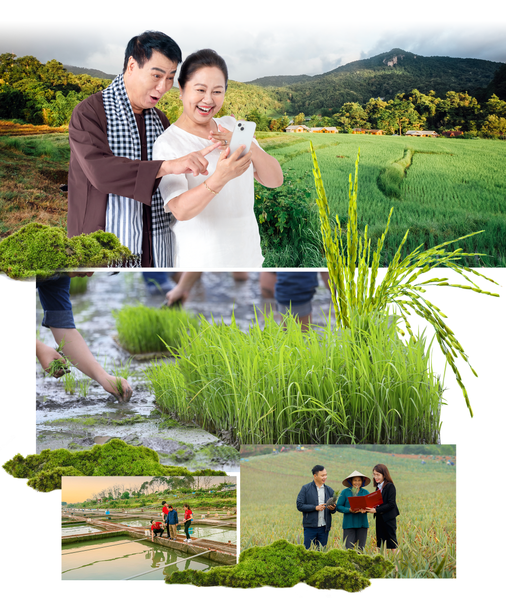 Agribank tăng tốc xanh hóa hoạt động ngân hàng và phát triển bền vững - Ảnh 8.