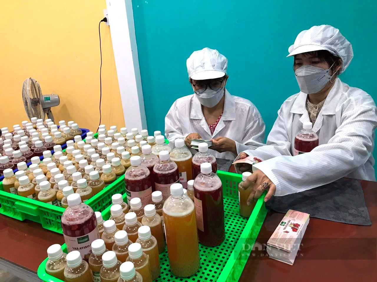 Trai làng Long An khởi nghiệp với “trà bất tử” có từ ngàn năm trước, làm không kịp bán  - Ảnh 2.