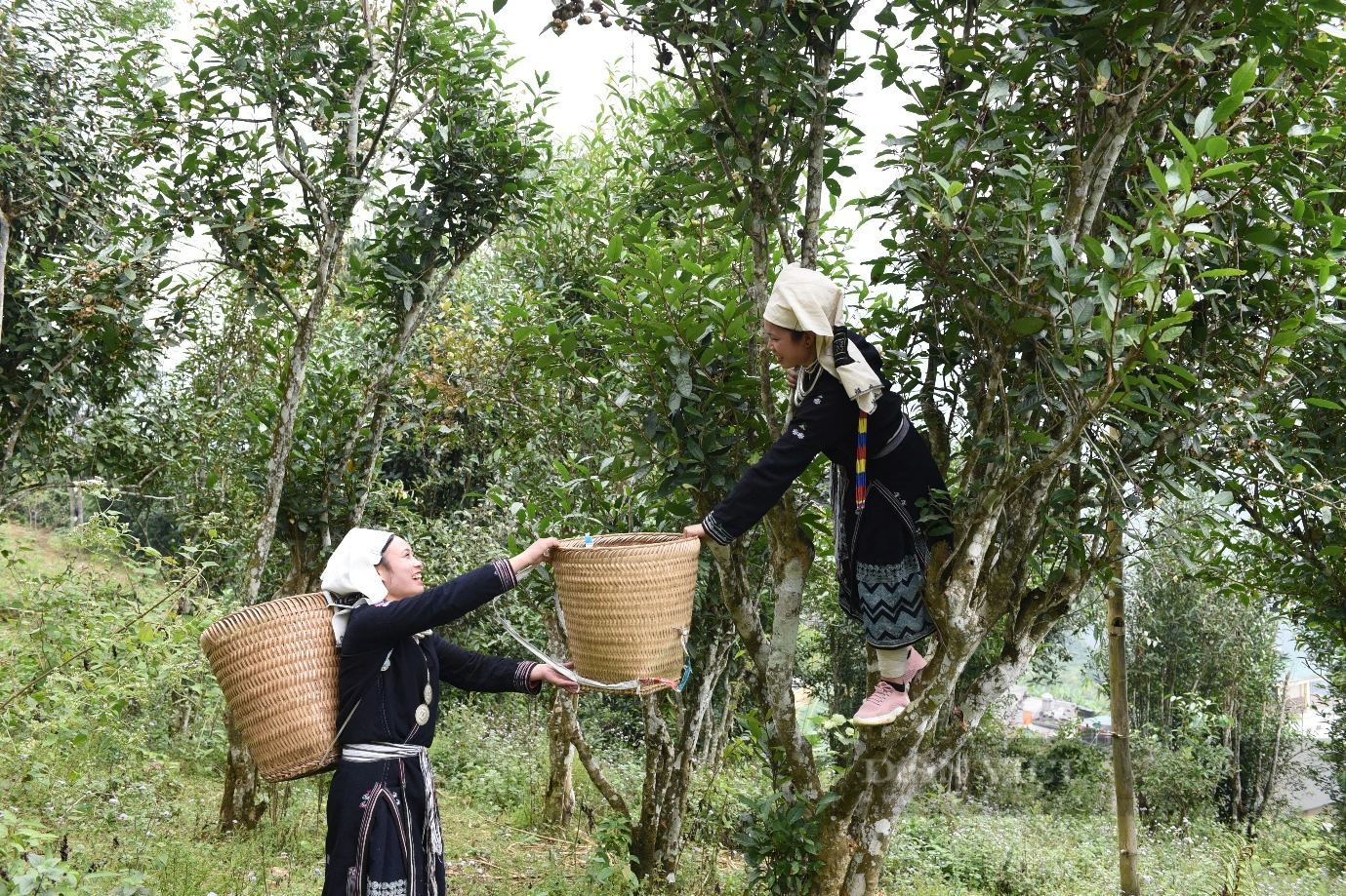 NTM Tuyên Quang: Xây dựng nông thôn mới nâng cao gắn liền với phát triển du lịch ở xã Hồng Thái - Ảnh 2.