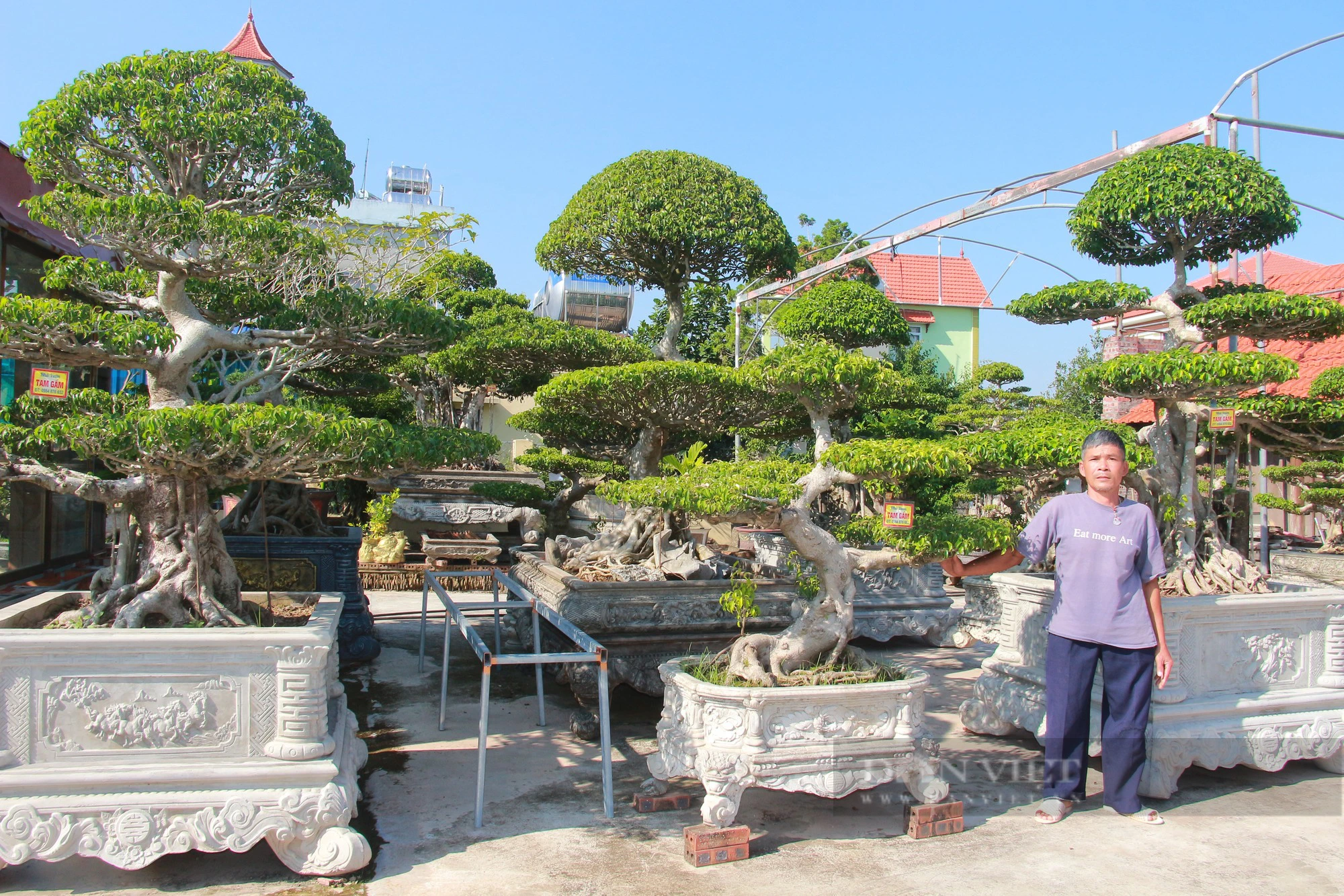 Chăn nuôi không hiệu quả, anh nông dân Nam Định chuyển sang kinh doanh cây cảnh, nào ngờ thắng lớn - Ảnh 2.