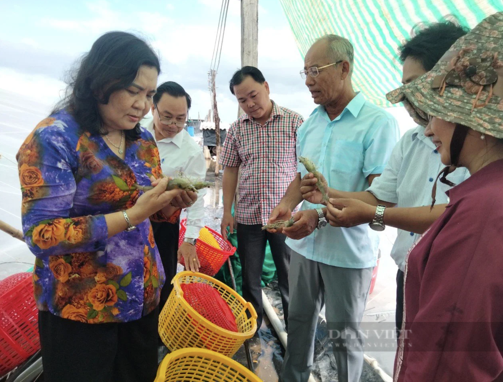 Hướng tới Đại hội VIII Hội NDVN: Bến Tre cụ thể hóa thành 10 đầu việc với 9 kế hoạch và 1 đề án - Ảnh 2.