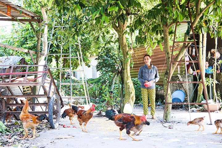 Ở một nơi của Bà Rịa-Vũng Tàu, nông dân trồng cây đặc sản, nuôi con đặc sản, bán dễ, lãi nhiều hơn hẳn - Ảnh 1.