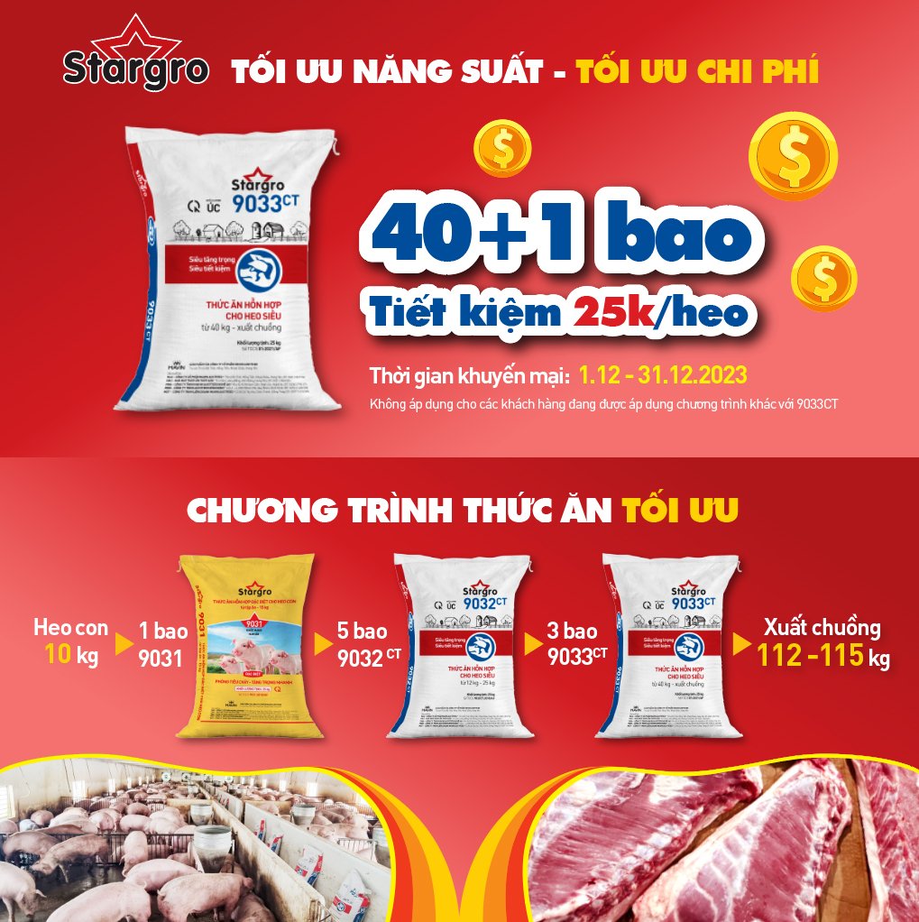 Mavin Feed khuyến mại nhân kỷ niệm 19 năm thành lập Tập đoàn - Ảnh 1.
