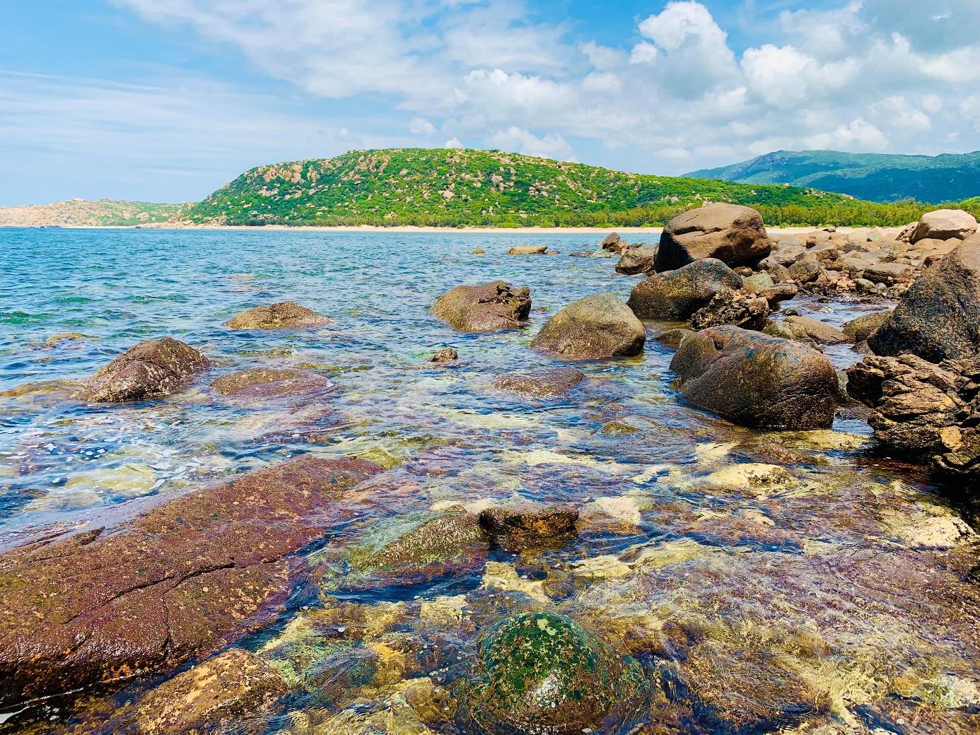Chỉ cách vườn nho Ninh Thuận có 300m, một hòn đảo hoang sơ đẹp như phim, ai thấy cũng bất ngờ - Ảnh 4.