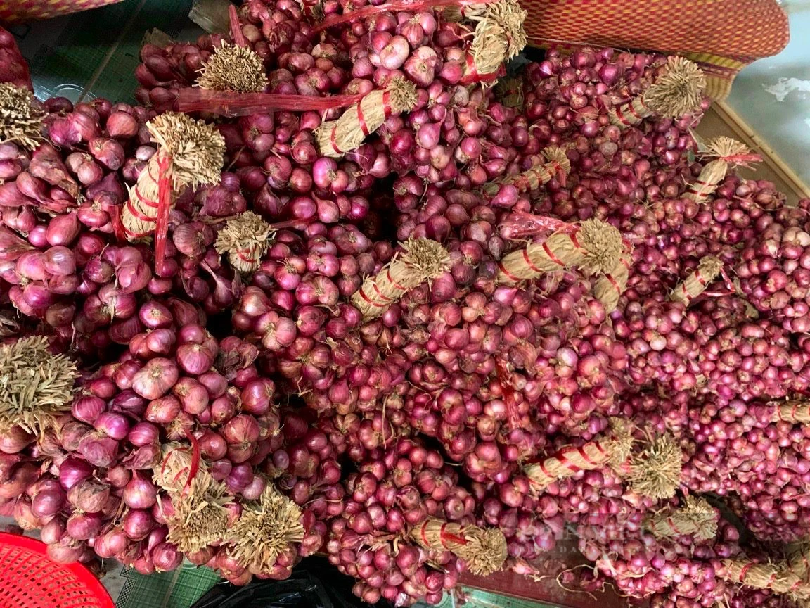 Giá hành tím tăng vọt, nông dân Sóc Trăng vui mừng vì trúng mùa, thu lãi tiền triệu - Ảnh 5.