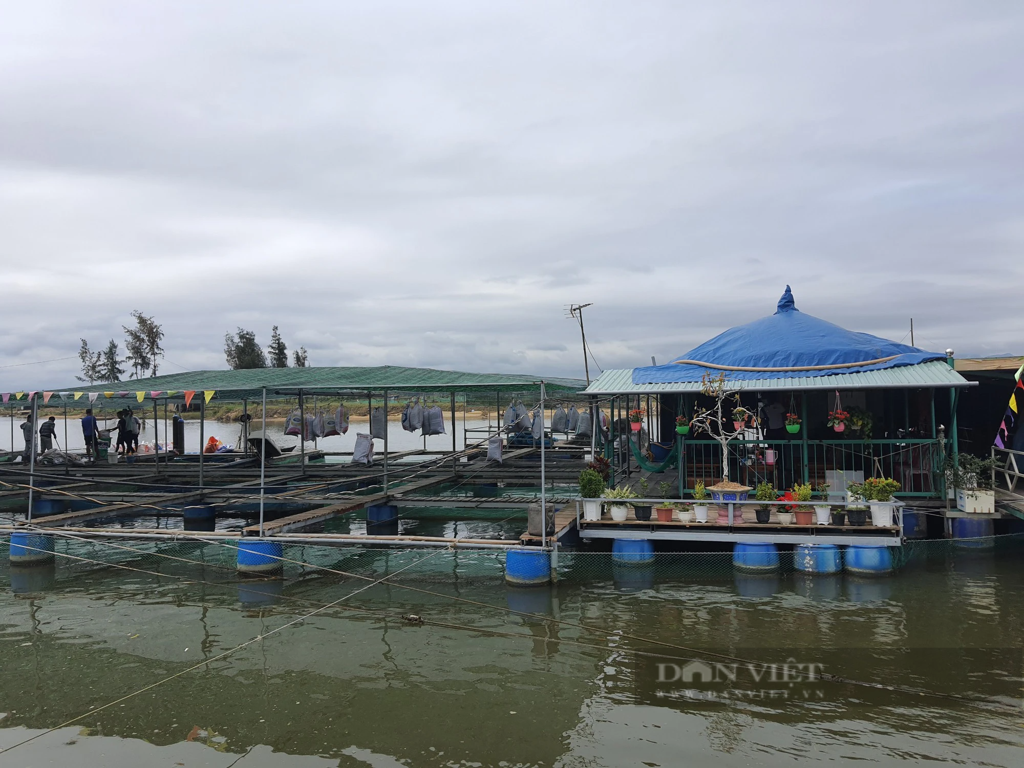 Quảng Nam: Duy Xuyên quyết tâm xây dựng huyện nông thôn mới nâng cao - Ảnh 7.