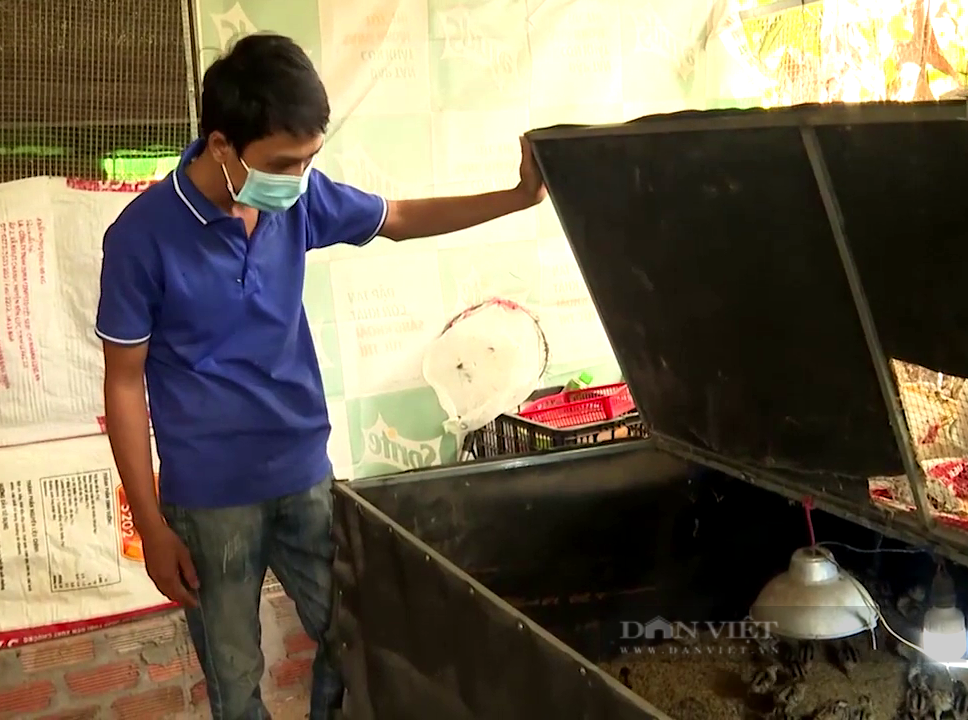 Hô biến trại nuôi con đặc sản quí tộc thành “máy in tiền”, anh nông dân Bà Rịa – Vũng Tàu sống khỏe - Ảnh 2.