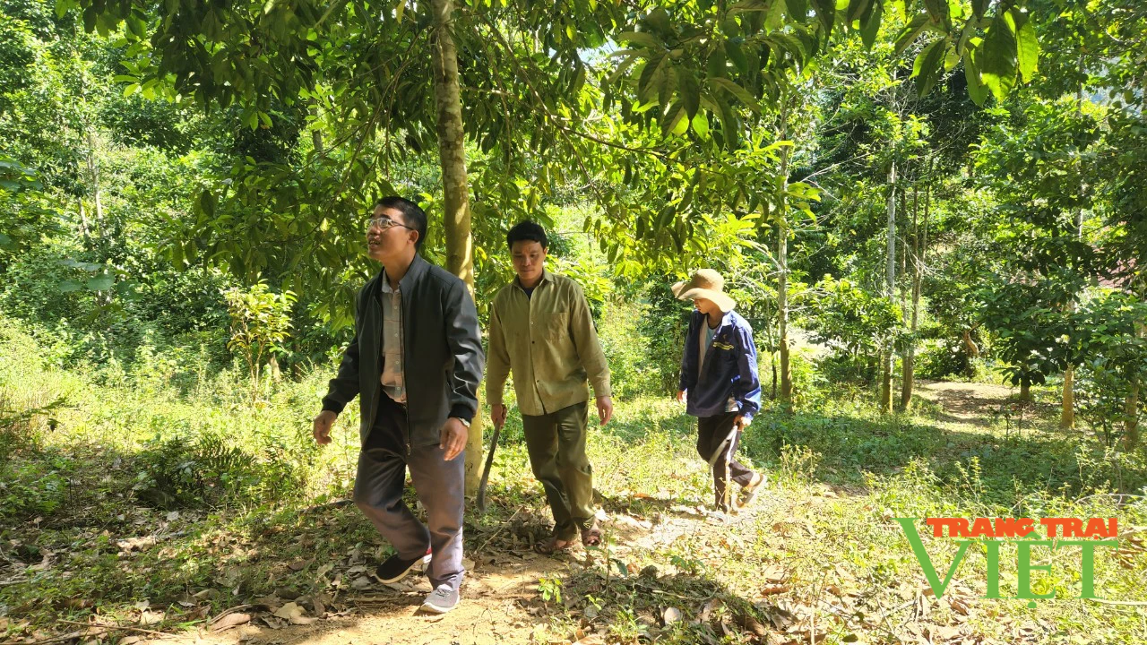 Chi trả dịch vụ môi trường rừng: Góp phần thay đổi diện mạo nông thôn ở Lai Châu - Ảnh 1. Chi trả dịch vụ môi trường rừng: Góp phần thay đổi diện mạo nông thôn ở Lai Châu - Ảnh 1.