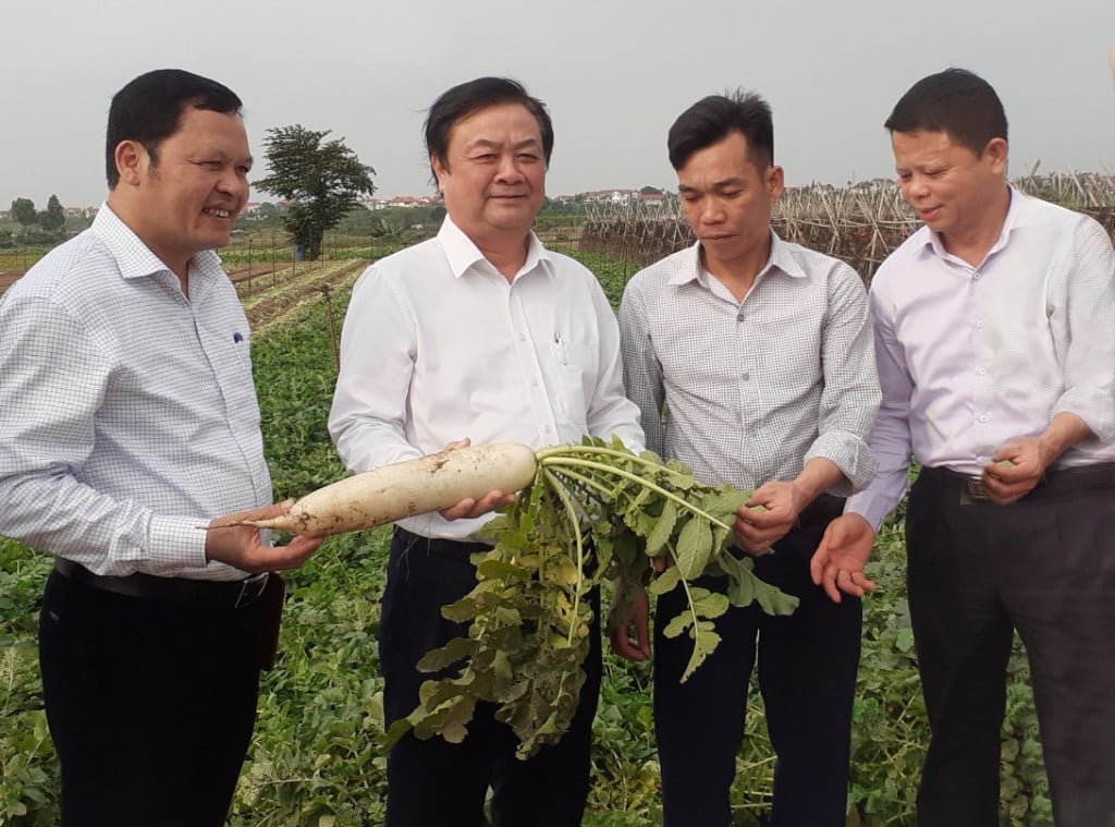 Lời giải cho bài toán tăng hiệu quả bảo vệ thương hiệu nông sản ở Thủ đô - Ảnh 2.