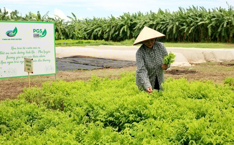 Lời giải cho bài toán tăng hiệu quả bảo vệ thương hiệu nông sản ở Thủ đô - Ảnh 3.