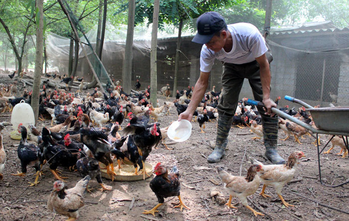 Xây dựng thương hiệu - &quot;chìa khóa&quot; để nâng tầm cho nông sản Thủ đô - Ảnh 1.