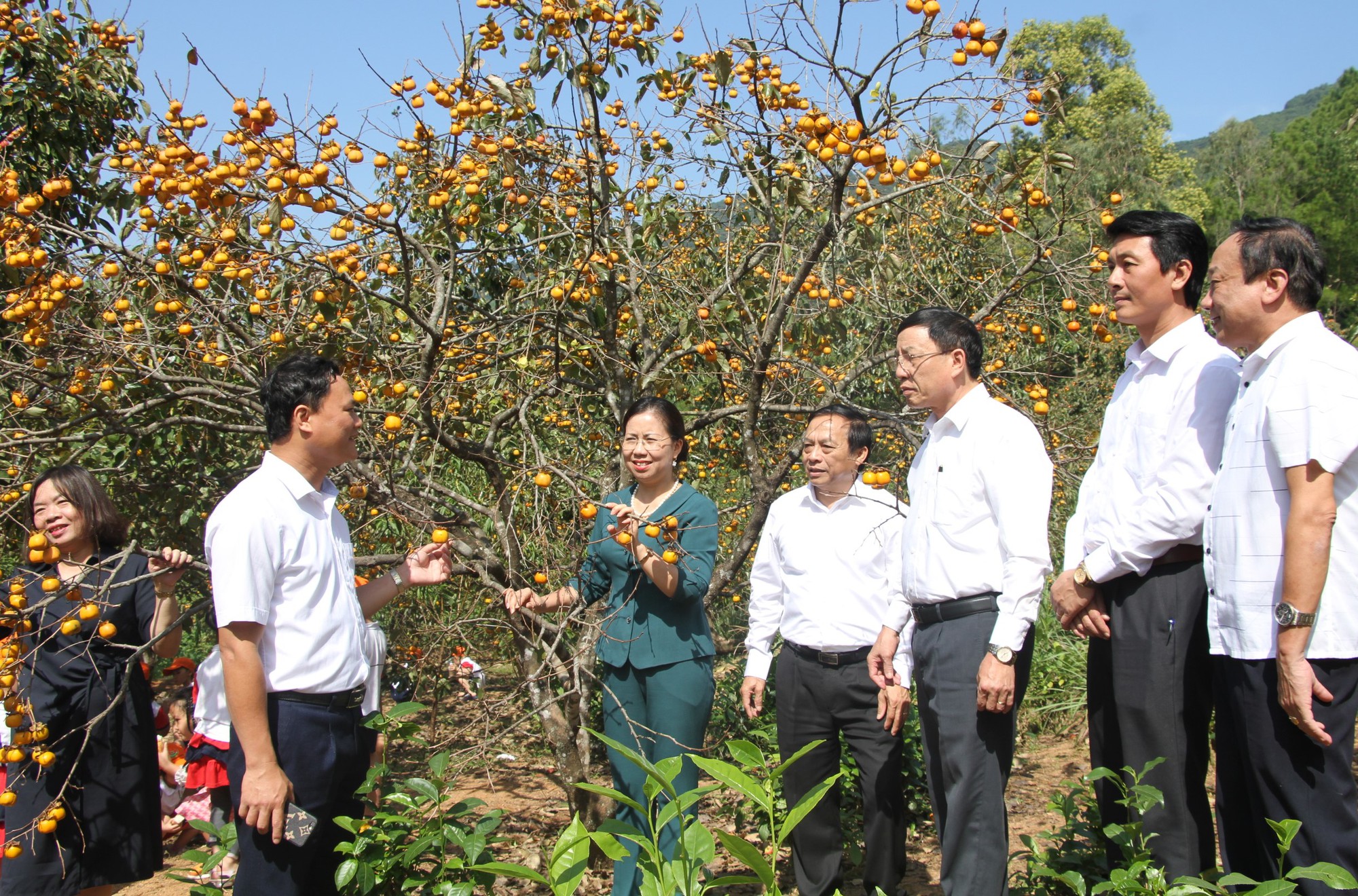 Nâng cao thu nhập cho nông dân &quot;không có con đường nào khác&quot; phải tham gia phát triển kinh tế tập thể - Ảnh 5.