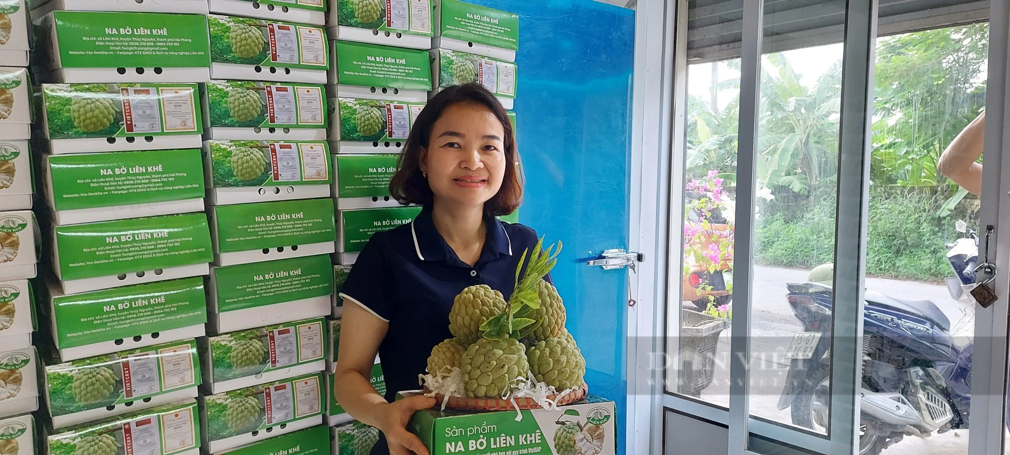Hải Phòng: Phân hạng hàng trăm sản phẩm OCOP giai đoạn 2018 – 2023 - Ảnh 3.