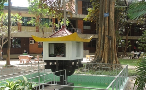 Top 6 cây cổ thụ bí ẩn nhất Việt Nam, có cây ổi &quot;biết cười&quot; ở Thanh Hóa, cây đa &quot;biết đi&quot; ở Ninh Bình - Ảnh 4.