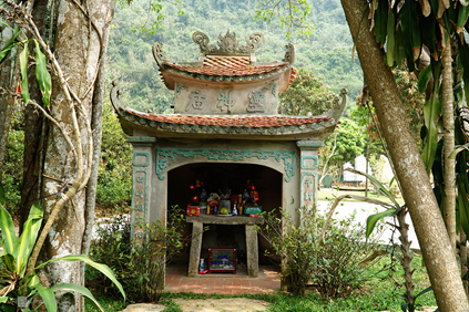 Top 6 cây cổ thụ bí ẩn nhất Việt Nam, có cây ổi &quot;biết cười&quot; ở Thanh Hóa, cây đa &quot;biết đi&quot; ở Ninh Bình - Ảnh 8.